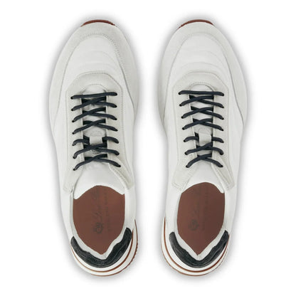 Designer Trainers