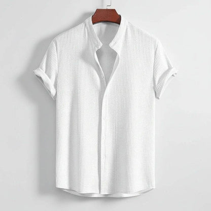 Polo Hampton Collar Shirt